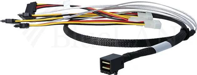 Actual product image BlueLAN internal MiniSAS Hybrid cable SFF-8643/4x SFF-8482 with power cable 50cm (50 cm)