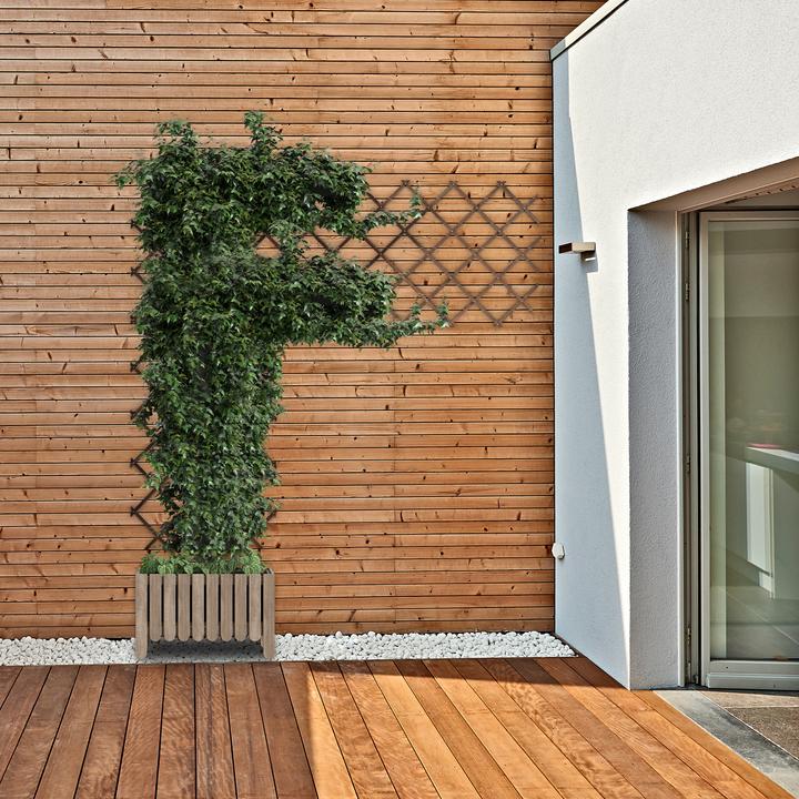 Image du produit Relaxdays 3x treillis (1.50 cm, 230 cm)