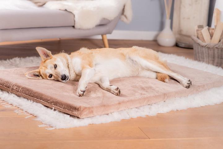 Produktbild Sabro Jokkmokk SilkTouch Hundeliegematte (Hund)