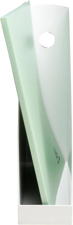 Actual product image Exacompta Magazine file (A4+)