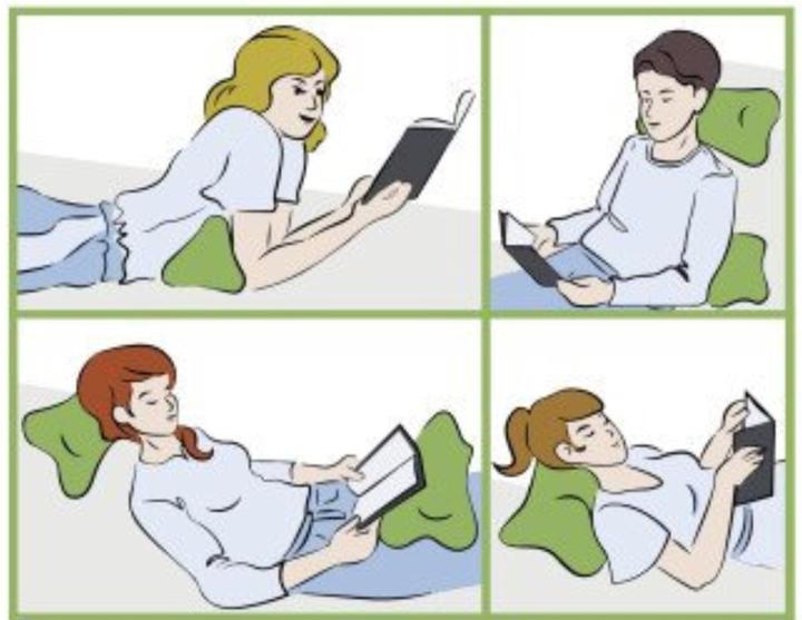 Image du produit Magma Leseknochen Arlo