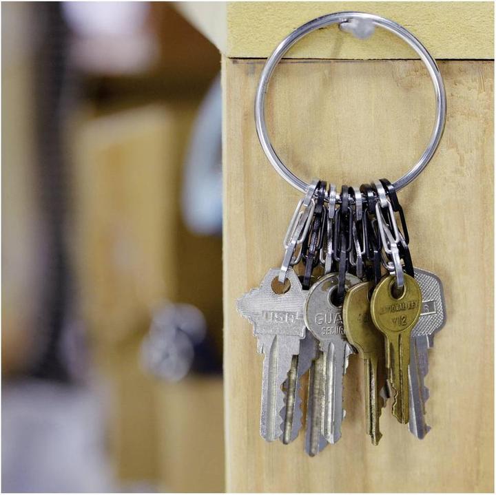 Actual product image Nite Ize Key ring with carabiner Bi