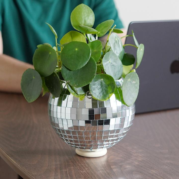 Image du produit Mags Fleurs disco
