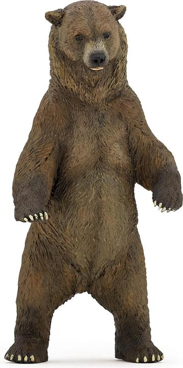 Mojo Grizzly Bear - buy at Galaxus