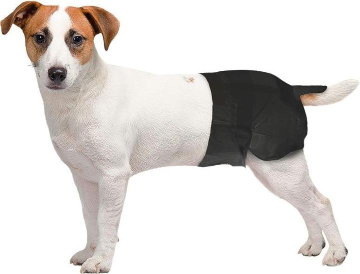 Image du produit Freezack Couches jetables pour chiennes, tour de ventre 32-48cm (1x12 pcs) (Chien)