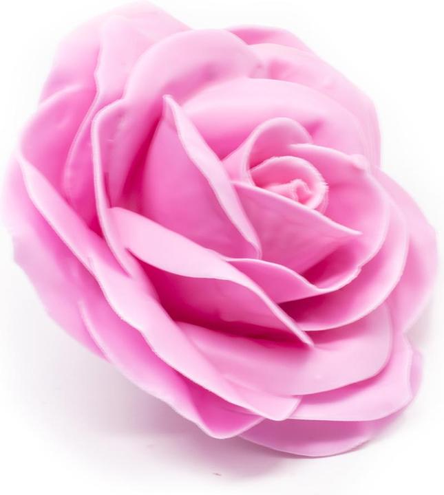 Image du produit Primera Lot de 10 roses de cire