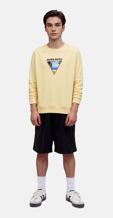 Image du produit Jack & Jones Junior Pullover PERRY Sweatshirt (140)