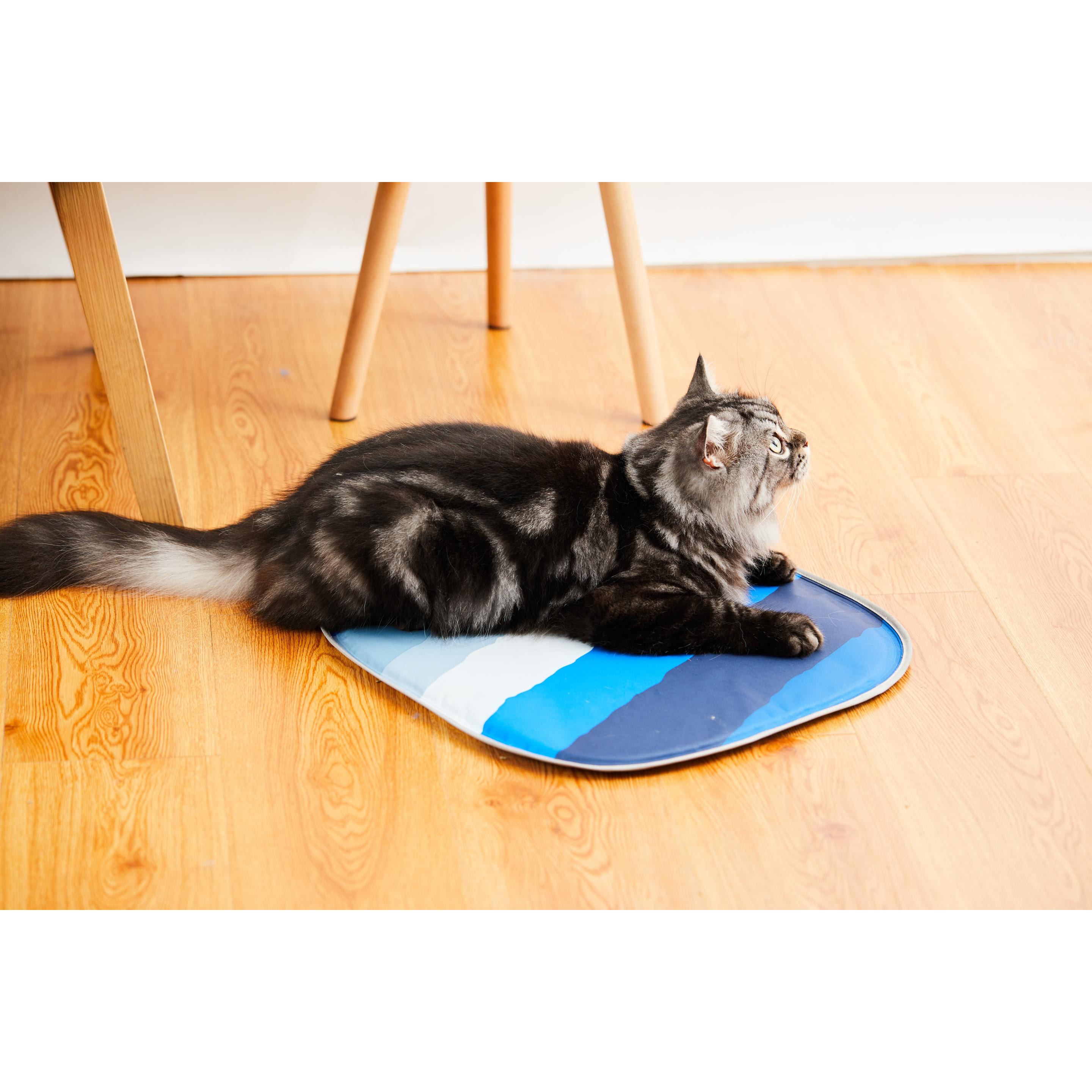 Petkit Kühlmatte (Chat, Chien), Hygiène animale