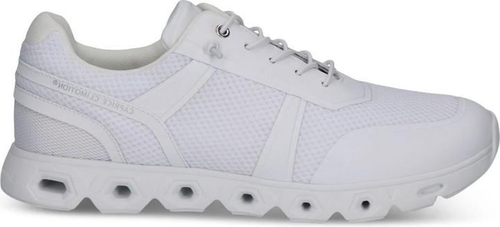 Pettine bianco