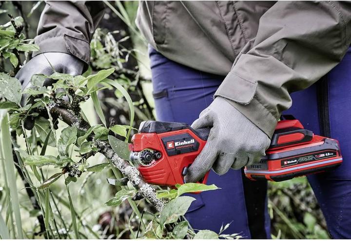 Image du produit Einhell Set bestehend aus Akku-Astschere GP-LS 18/28 Li BL-Solo und Systemkoffer E-Case S-F