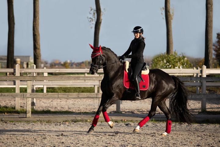 Actual product image HFI Master Velvet