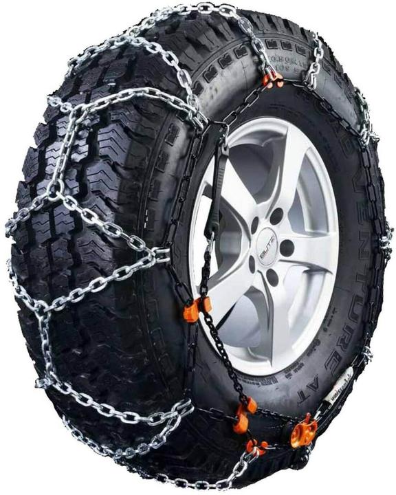 Weissenfels Rex TR RTR Gruppo 7