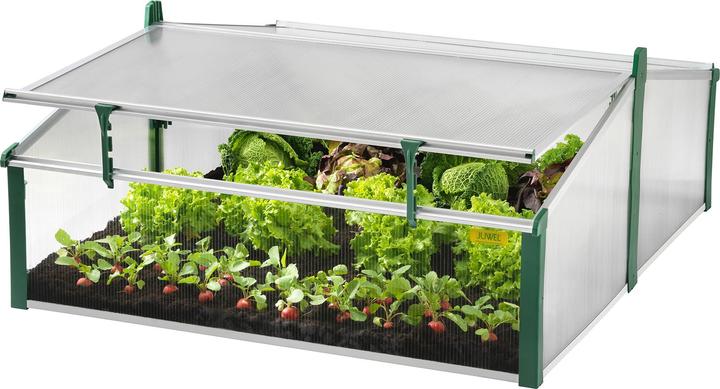 Produktbild Juwel Doppelfrhbeet Komfort Easy Fix 120 x 100 x 40 cm