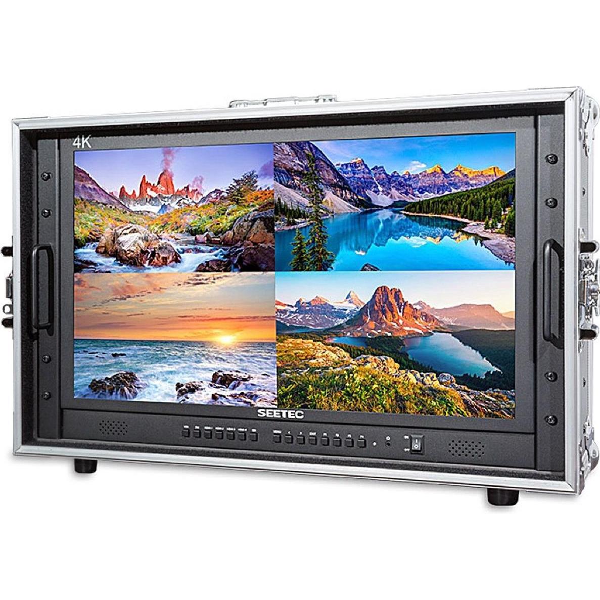 Feelworld Seetec 23,8" P238 9HSD CO Broadcast Monitor con Flightcase (23.80"), Monitor video