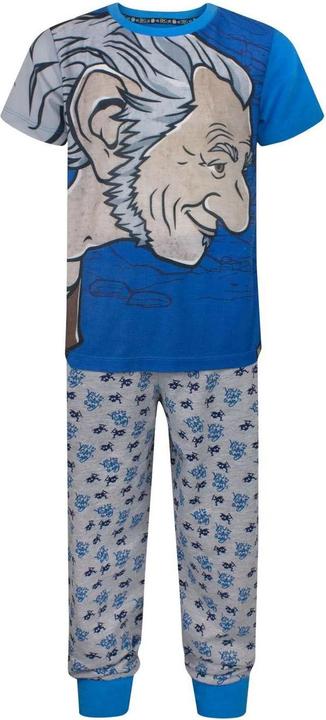 Produktbild The BFG Giant Country Schlafanzug Jungen (146, 152)