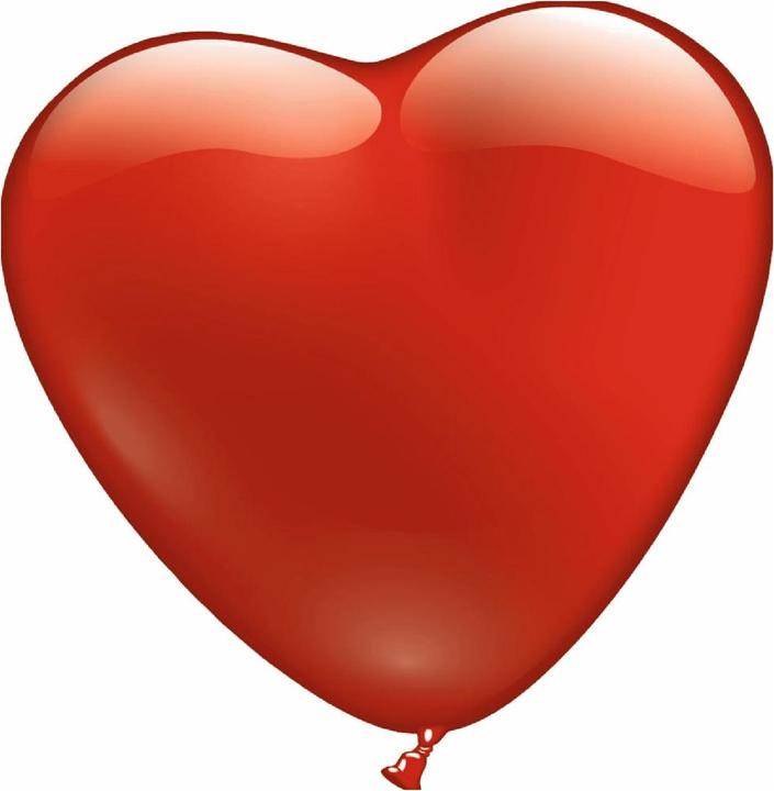 Stylex Heart (6 x)