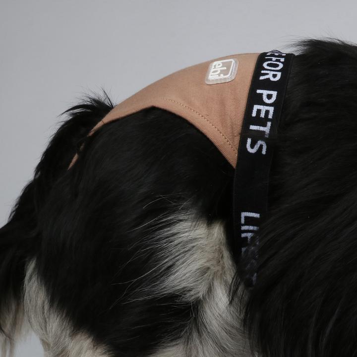 Produktbild EBI Klassische Hundehose (L, Hundeschuhe)