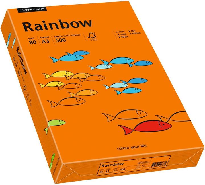 Image du produit Rainbow Papier à copier couleur A3 (A3, 500 feuilles, 80 g/m²)