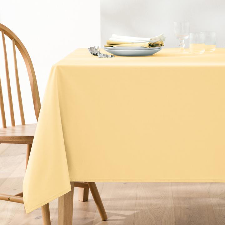 Image du produit La Redoute Interieurs Nouveau Coton Enduit (150 x 300 cm)