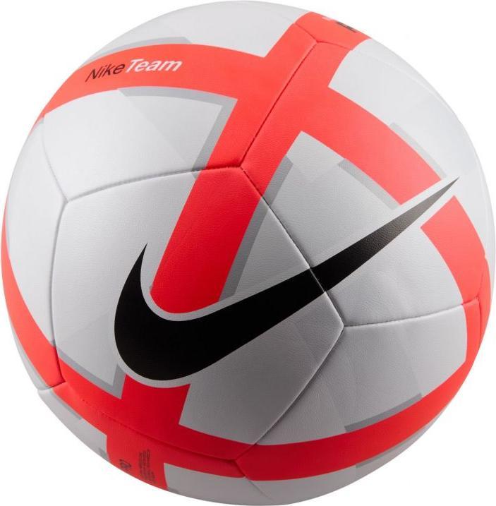 Image du produit Nike Ballon Futsal Team Pro