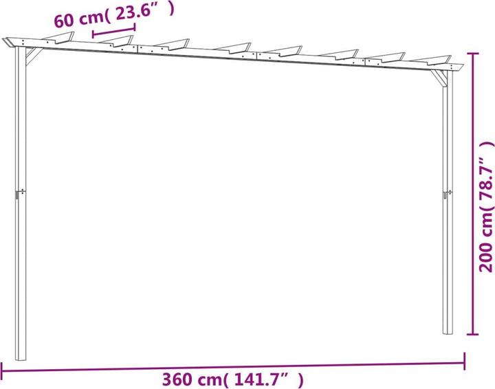 Actual product image vidaXL Pergola (200 cm, 360 cm)