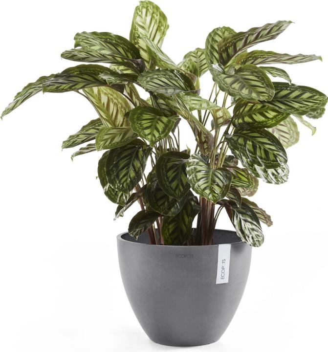 Produktbild Ecopots Antwerp (39.70 x 30 cm)