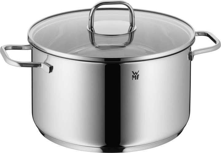 Actual product image WMF Inspiration (Pot, Stainless steel, 24 x 17.20 cm)