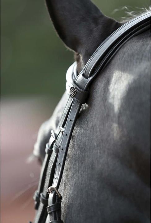 Productafbeelding Kerbl Snaffle hoofdstel Cancun zwart, Cob