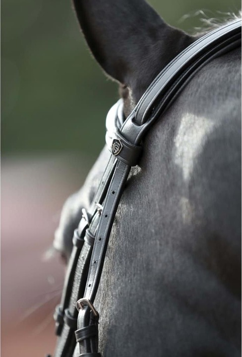 Actual product image Kerbl Snaffle bridle Cancun black, Cob