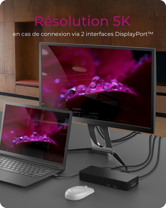 Produktbild Icy Box IB-DK2254AC (USB-C, 14 Ports)