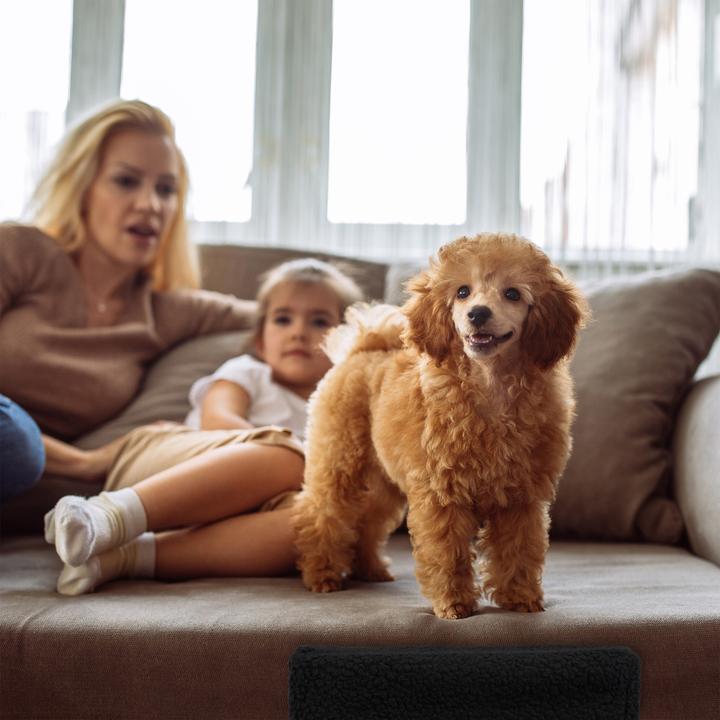Produktbild Relaxdays Hundetreppe (Hund, Waschbar)