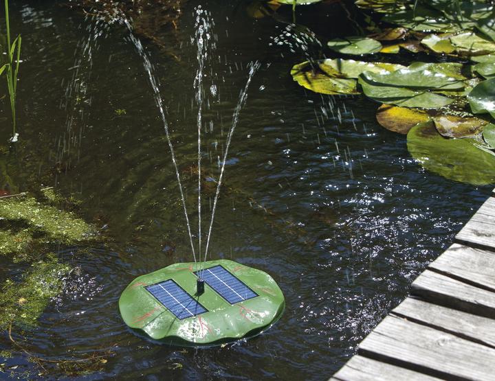 Actual product image Esotec Water Lily
