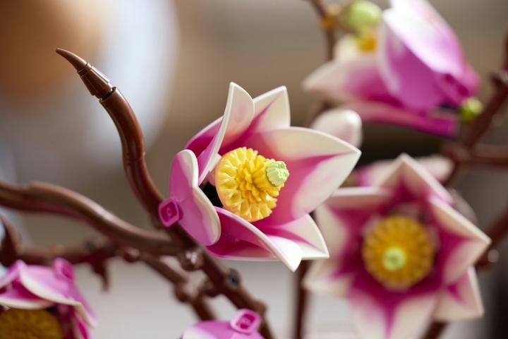 Immagine prodotto LEGO Rami di magnolia (11510, LEGO Botanicals)