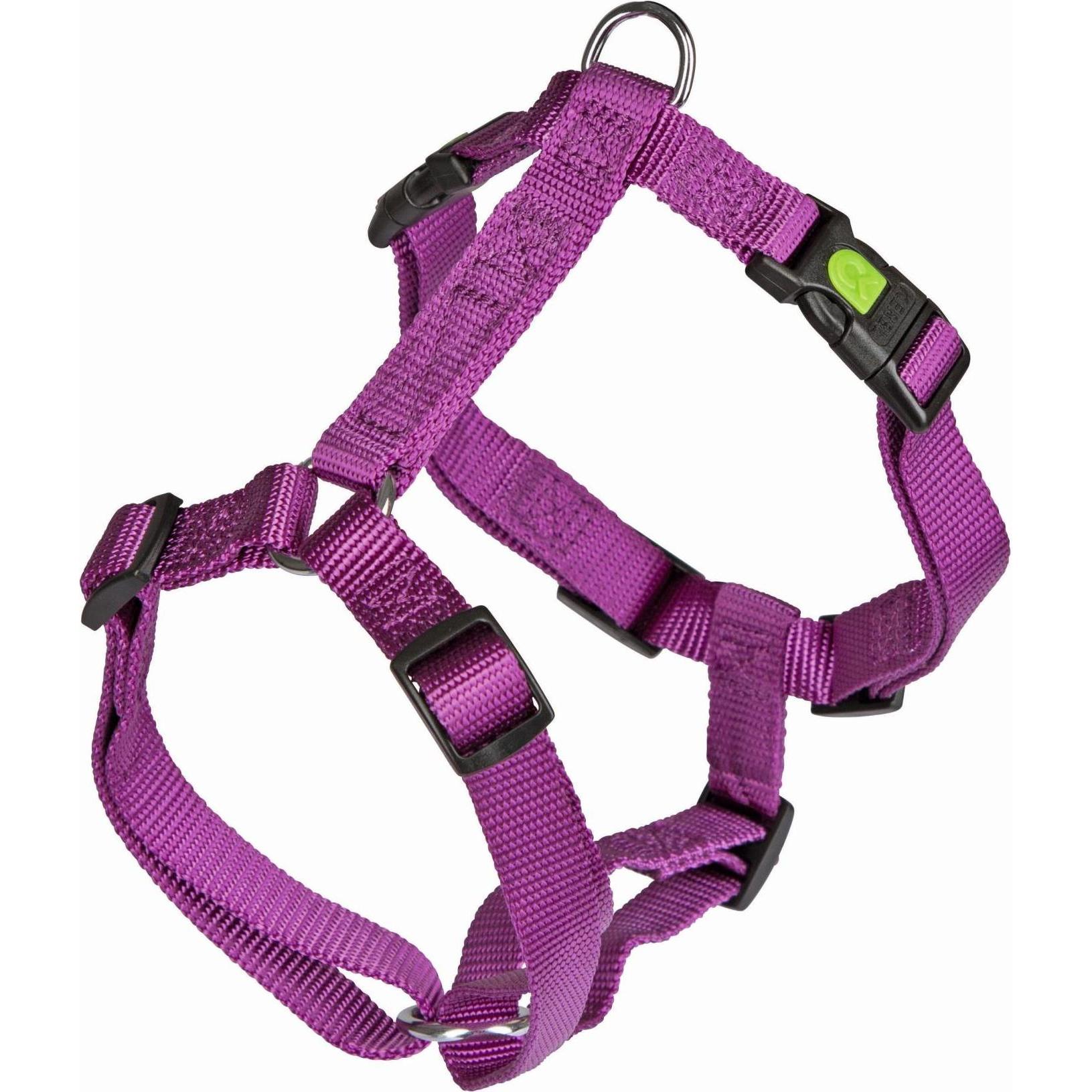 Kerbl Geschirr Miami (40, 41, 42, 43, 44, 45, 46, 47, 48, 49, 50, 52, 54, 56, Hund, Hundesport), Halsband + Leine