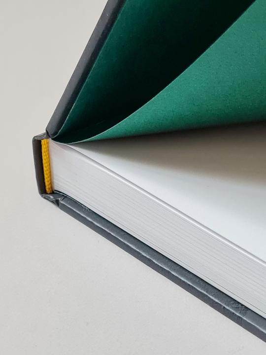 Produktbild Honig für Kunst &amp Gesellschaft (Deutsch, Felix Droese, Hartmut Kraft, Hede Buhl, Joseph Beuys, 2024)