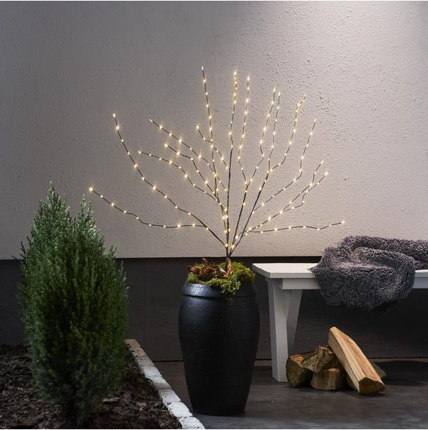 Produktbild Star Trading Decorativer Baum Reedy