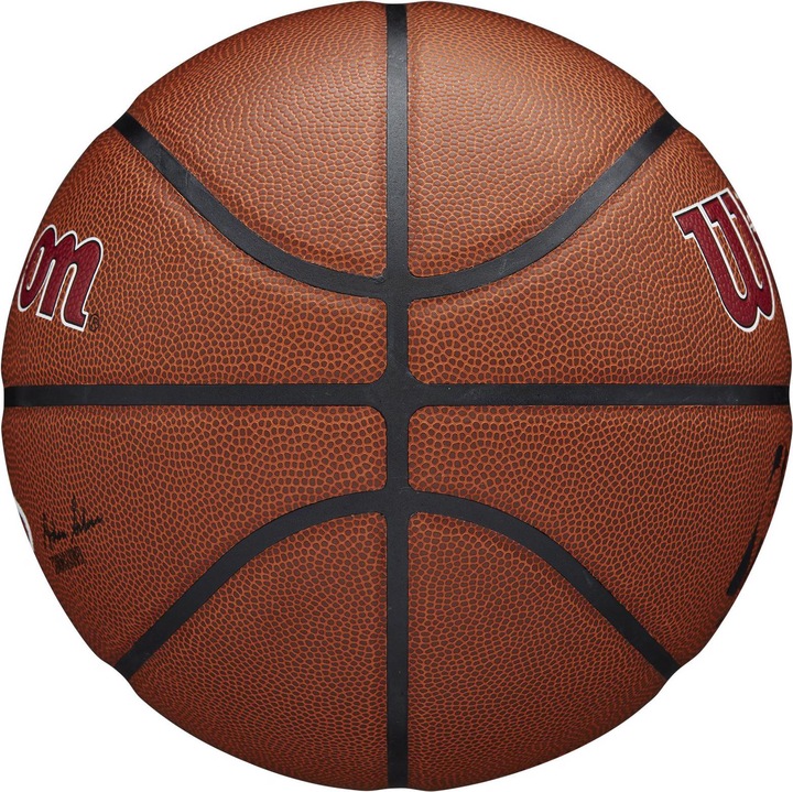 Actual product image Wilson Basketball NBA Team Alliance Miami Heat
