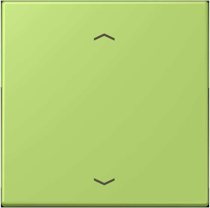 Actual product image JUNG Control button