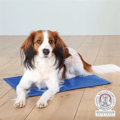 Image du produit Trixie tapis de refroidissement, 110 x 70 cm, bleu (Chien)