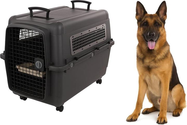 Flamingo Reisekiste (Hund)