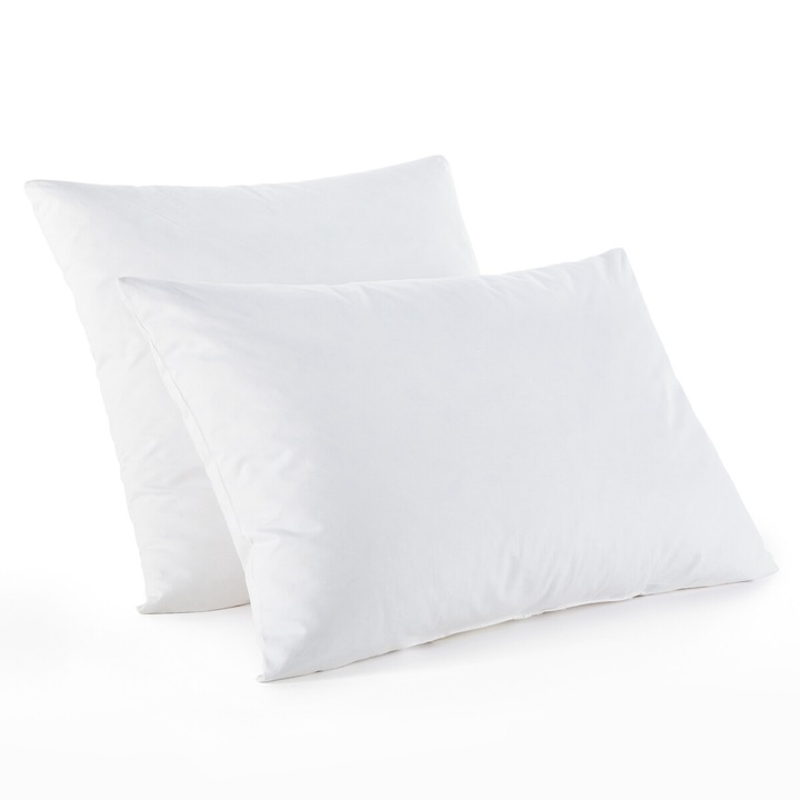Immagine prodotto La Redoute Interieurs Cuscino rigido con il 15% di piuma d'oca (70 x 70 cm)