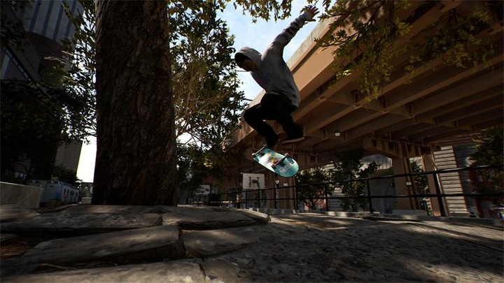 Actual product image Nacon Gaming Session: Skate Sim SWITCH (Switch, DE, FR)