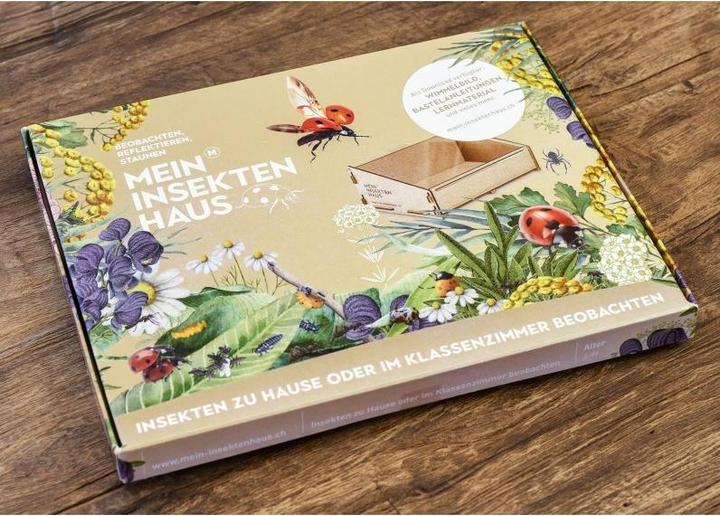 Actual product image Mein Raupenkasten Ladybird house (Ladybirds)