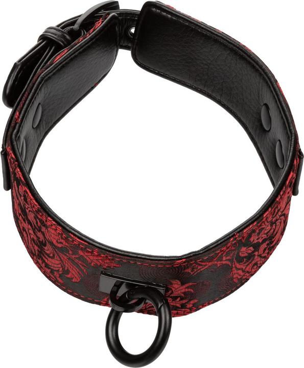 Actual product image CalExotics Scandal Collar with Leash