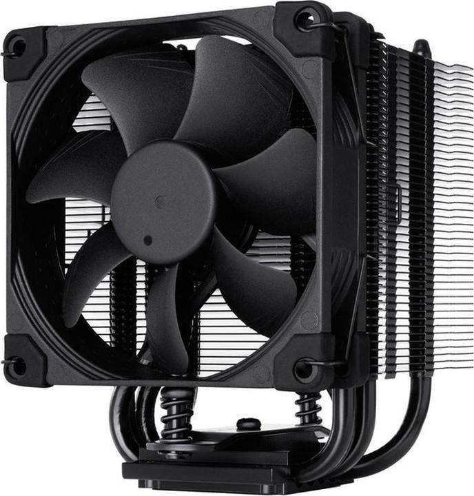 Noctua NH-U9S chromax.black CPU cooler (125 mm)