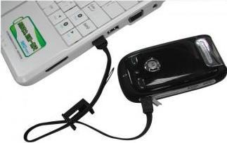 Produktbild Logo USB-Kabel USB-A - miniUSB 0,3 m Schwarz (24904) (0.30 m, USB 2.0)