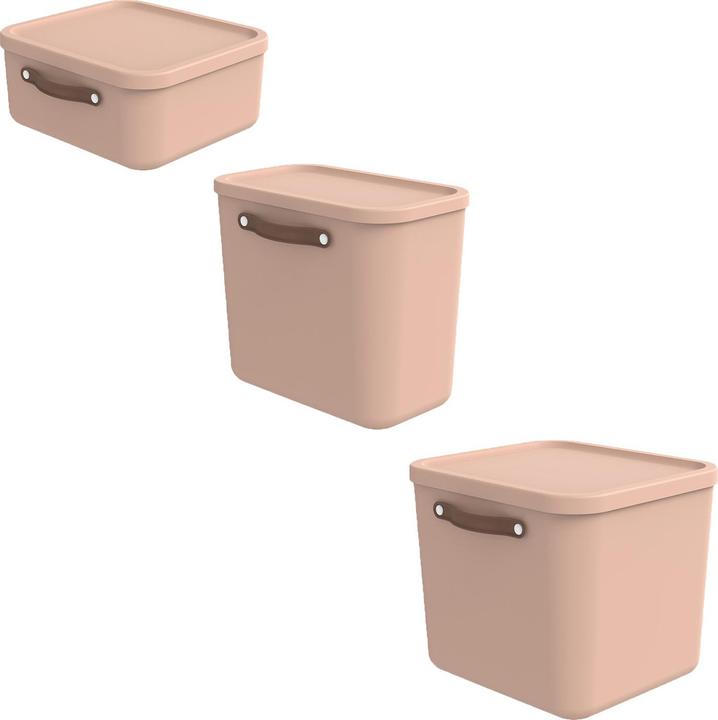 Actual product image Rotho Set of 3 storage boxes large MALOJA (1x)
