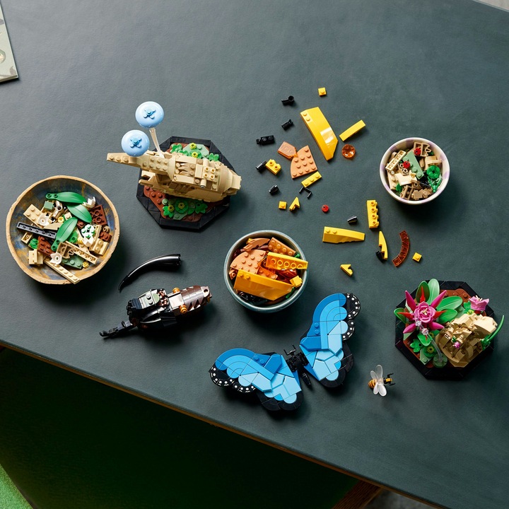 Actual product image LEGO Ideas The insect collection (21342, LEGO Ideas)