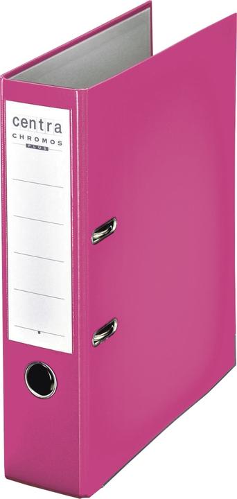 Fuchsia