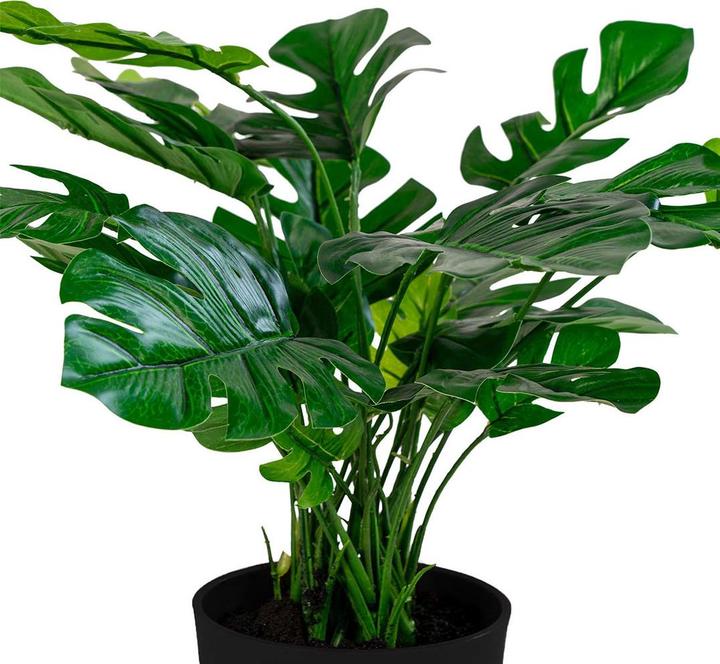 Produktbild House Nordic Monstera (45 cm)